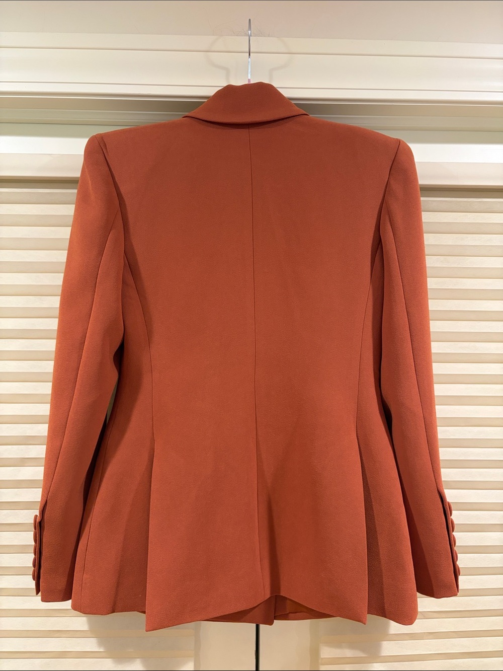 NWOT Alex Perry Double-Breasted Blazer in Rust, Size US 6 - Picture 6 of 11